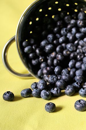 Blueberries tumbling from bucket