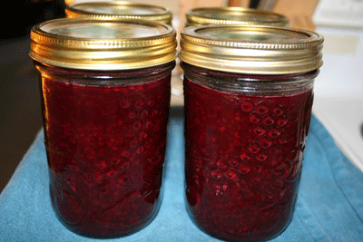 Blackberry-jams-jars