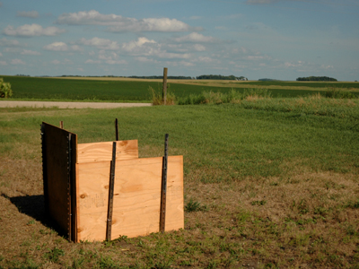 Compost photo 1