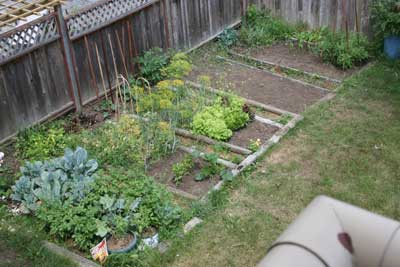 Garden-without-garlic