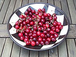 Cherries in bowl