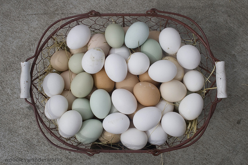 Basket of beautiful eggs