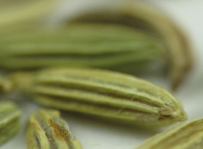 Fennel-seeds