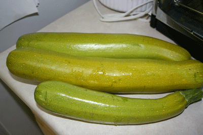 Zucchinis-on-counter
