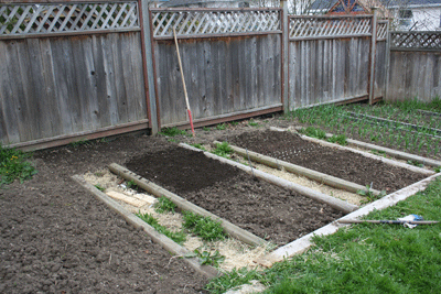 Early-april-garden-being-planted