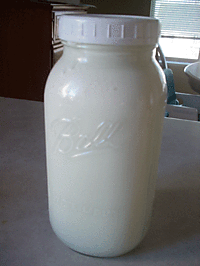 Raw-milk-jug