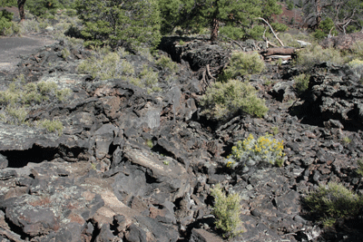 Lava-flows-with-some-trees-in-them