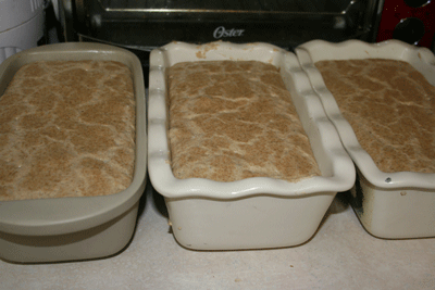Sourdough-bread-rising