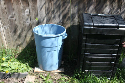 Potato-can-by-compost