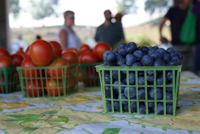 Carton of blueberries