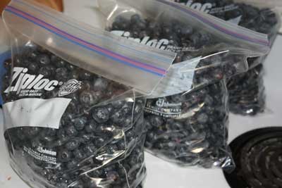 Blueberries-in-bags