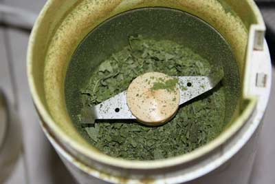 Grinding-basil-in-coffee-grinder