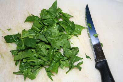 Chopping-spinach