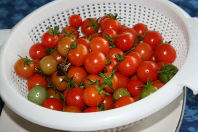 Strainer-of-cherry-tomatoes