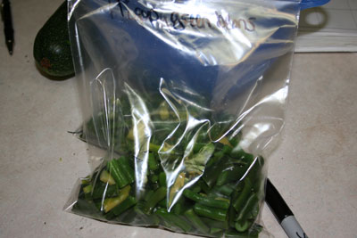 Bag-of-blanched-green-beans