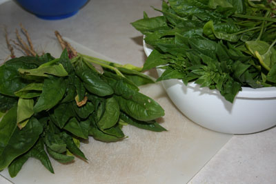 Bowl-of-garden-spinach