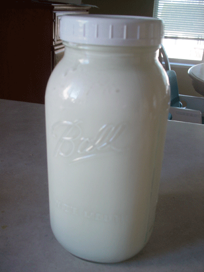 Raw-milk-jug