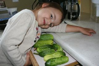 Abbie-and-pickling-cukes