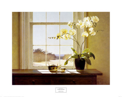 Simple window and orchids