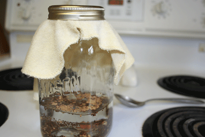 Jar-of-seeds-to-sprout