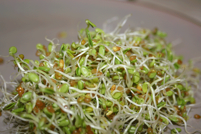 Fresh-sprouts