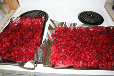 Two-berry-trays