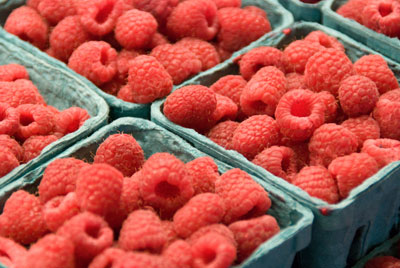 Raspberries-in-containers